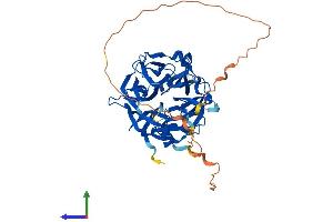 AlphaFold protein structure predicition of Human Recombinant NEU4 Protein, UniprotID Q8WWR8