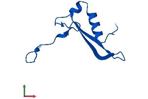 Protein Structure (PS) image for Ribosomal Protein S21 (RPS21) (AA 1-83) protein (Fc Tag) (ABIN7560566)