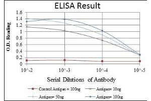 Red: Control Antigen (100 ng), Purple: Antigen (10 ng), Green: Antigen (50 ng), Blue: Antigen (100 ng), (MAP2K4 antibody)