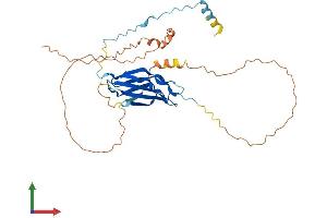 AlphaFold protein structure predicition of Human Recombinant FNDC8 Protein, UniprotID Q8TC99