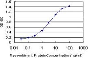 Detection limit for recombinant GST tagged E2F4 is approximately 0. (E2F4 antibody  (AA 211-301))