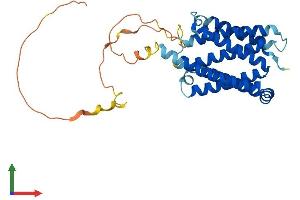 Protein Structure (PS) image for Fas Apoptotic Inhibitory Molecule 2 (FAIM2) (AA 1-316) protein (His tag) (ABIN7549039)