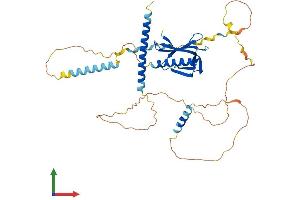 AlphaFold protein structure predicition of Human Recombinant EVL Protein, UniprotID Q9UI08