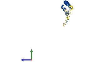 AlphaFold protein structure predicition of Human Recombinant MAFF Protein, UniprotID Q9ULX9 (MafF Protein (AA 1-164) (His tag))