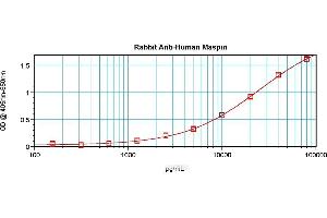 Sandwich ELISA using Maspin antibody (SERPINB5 antibody)