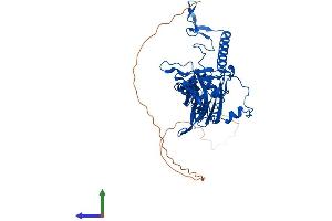 Protein Structure (PS) image for Mitochondrial Ribosomal Protein S5 (MRPS5) (AA 1-432) protein (His tag) (ABIN7560436)