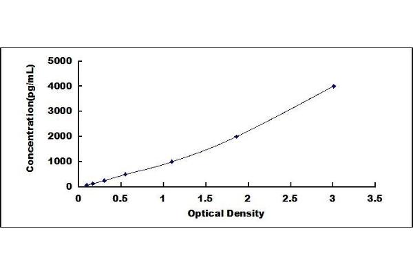 CTSA ELISA Kit