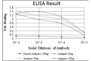 Red: Control Antigen (100 ng), Purple: Antigen (10 ng), Green: Antigen (50 ng), Blue: Antigen (100 ng), (FGG antibody)