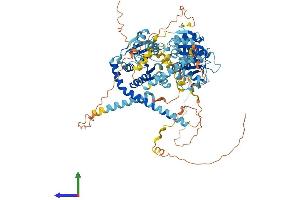 AlphaFold protein structure predicition of Human Recombinant DDX27 Protein, UniprotID Q96GQ7 (DDX27 Protein (AA 1-796) (His tag))