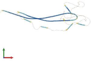 AlphaFold protein structure predicition of Mouse Recombinant Ccdc57 Protein, UniprotID Q6PHN1 (CCDC57 Protein (AA 1-1016) (His tag))