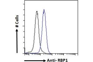 Flow Cytometry (FACS) image for anti-Retinol Binding Protein 1, Cellular (RBP1) (C-Term) antibody (ABIN185365)