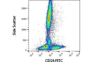 Flow cytometry surface staining pattern of human peripheral whole blood stained using anti-human CD26 (BA5b) FITC antibody (10 μL reagent / 100 μL of peripheral whole blood). (DPP4 antibody  (FITC))