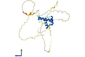 AlphaFold protein structure predicition of Human Recombinant NKX1-2 Protein, UniprotID Q9UD57