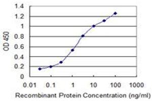 Detection limit for recombinant GST tagged ARFIP2 is 0. (ARFIP2 antibody  (AA 1-110))
