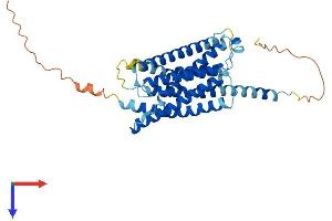 AlphaFold protein structure predicition of Mouse Recombinant Mrgprb2 Protein, UniprotID Q3KNA1 (Mrgprb2 Protein (AA 1-338) (His tag))