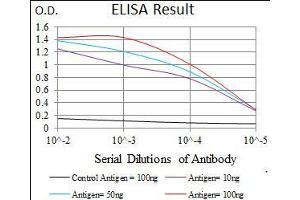 Black line: Control Antigen (100 ng), Purple line: Antigen(10 ng), Blue line: Antigen (50 ng), Red line: Antigen (100 ng), (CD33 antibody  (AA 15-237))