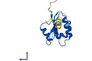 Protein Structure (PS) image for ATPase, H+ Transporting, Lysosomal 14kDa, V1 Subunit F (ATP6V1F) (AA 1-119) protein (His tag) (ABIN7545094)