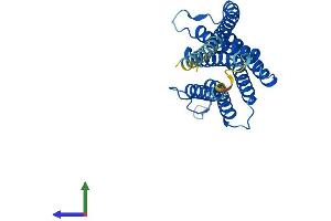 AlphaFold protein structure predicition of Human Recombinant TMEM45A Protein, UniprotID Q9NWC5 (TMEM45A Protein (AA 1-275) (His tag))