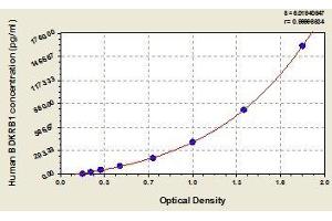 Typical standard curve (BDKRB1 ELISA Kit)