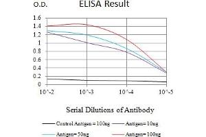 Black line: Control Antigen (100 ng),Purple line: Antigen (10 ng), Blue line: Antigen (50 ng), Red line:Antigen (100 ng) (BRIP1 antibody  (AA 904-986))