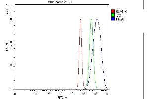 Flow Cytometry analysis of Hela cells using anti-TIP49A/RUVBL1 antibody (ABIN7599928).