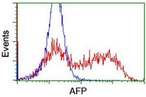 HEK293T cells transfected with either RC206622 overexpress plasmid (Red) or empty vector control plasmid (Blue) were immunostained by anti-AFP antibody (ABIN2454037), and then analyzed by flow cytometry. (alpha Fetoprotein antibody)
