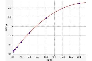 Typical standard curve (LGALS14 ELISA Kit)
