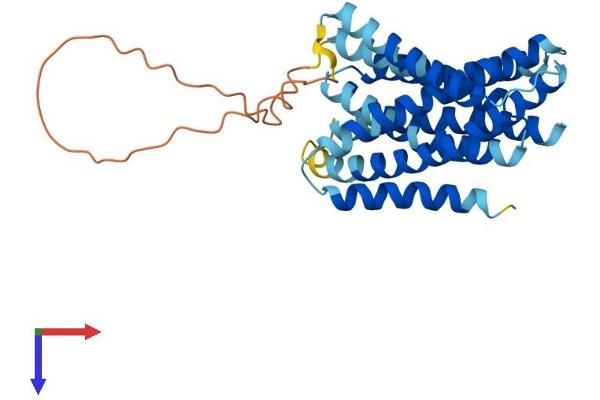SLC39A3 Protein (AA 1-314) (His tag)