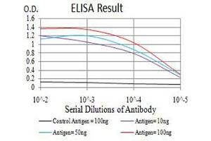 Black line: Control Antigen (100 ng),Purple line: Antigen (10 ng), Blue line: Antigen (50 ng), Red line:Antigen (100 ng) (AP2M1 antibody  (AA 298-435))