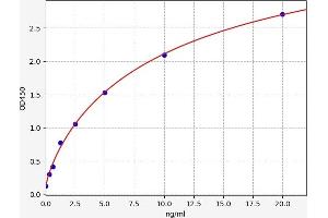 Typical standard curve (WNT6 ELISA Kit)