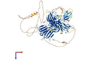 AlphaFold protein structure predicition of Mouse Recombinant Crybg3 Protein, UniprotID Q80W49 (CRYBG3 Protein (AA 1-1005) (His tag))