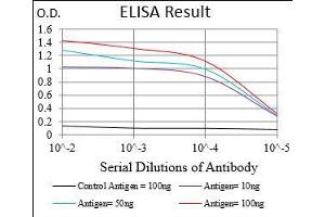 Black line: Control Antigen (100 ng), Purple line: Antigen(10 ng), Blue line: Antigen (50 ng), Red line: Antigen (100 ng), (SERPINA7 antibody  (AA 168-302))