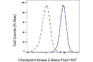 Validation of Checkpoint kinase 2 knockdown using flow cytometry. (Recombinant CHEK2 antibody)