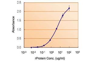 ELISA Image ELISA detection of NODAL using  for capture at a concentration of 5 µg/mL and  for detection at a concentration of 1. (Nodal antibody  (Center))