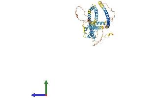 Protein Structure (PS) image for EF-hand calcium binding domain 14 (EFCAB14) (AA 1-484) protein (His tag) (ABIN7558574)