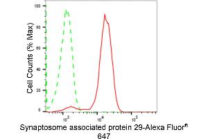 Flow cytometric analysis of Synaptosome associated protein 29 expression in HepG2 cells using Synaptosome associated protein 29 antibody (ABIN7800488), 1:2,000).