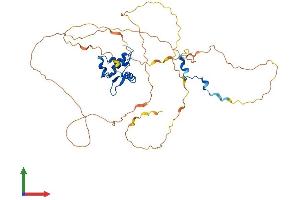 Protein Structure (PS) image for ELK1, Member of ETS Oncogene Family (ELK1) (AA 1-428) protein (His tag) (ABIN7547419)