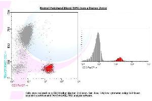 Image no. 1 for anti-CD3 (CD3) antibody (PerCP) (ABIN1112129) (CD3 antibody  (PerCP))