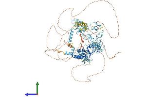 Protein Structure (PS) image for Nuclear Transcription Factor, X-Box Binding 1 (NFX1) (AA 1-1114) protein (His tag) (ABIN7562038)