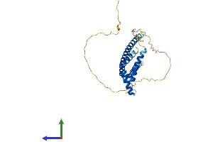 AlphaFold protein structure predicition of Human Recombinant MLX Protein, UniprotID Q9UH92 (MLX Protein (AA 1-298) (His tag))