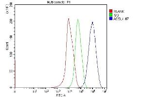 anti-Acyl-CoA Synthetase Long-Chain Family Member 4 (ACSL4) (C-Term) antibody