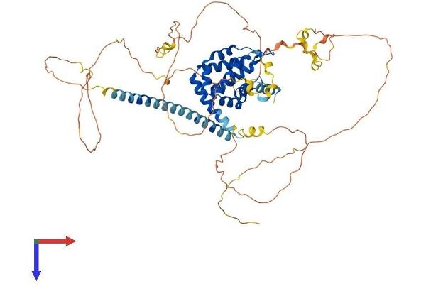 Epsin 2 Protein (EPN2) (AA 1-595) (His tag)