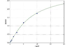 SMAD, Mothers Against DPP Homolog 7 (SMAD7) ELISA Kit