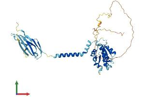 Protein Structure (PS) image for Single Immunoglobulin and Toll-Interleukin 1 Receptor (TIR) Domain (SIGIRR) (AA 1-409) protein (His tag) (ABIN7561688)