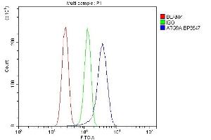 anti-ATG9 Autophagy Related 9 Homolog A (S. Cerevisiae) (ATG9A) (AA 1-812) antibody