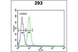 Flow Cytometric analysis of 293 cells (right histogram) using RPL18A Antibody (C-term) Cat.