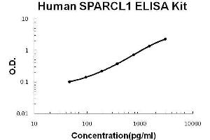 Human SPARCL1 PicoKine ELISA Kit standard curve