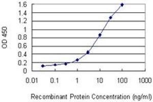 Detection limit for recombinant GST tagged PELP1 is 0. (PELP1 antibody  (AA 337-410))