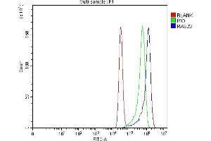 Flow Cytometry analysis of MCF-7 cells using anti-RAB23 antibody (ABIN7600675). (RAB23 antibody  (AA 22-168))
