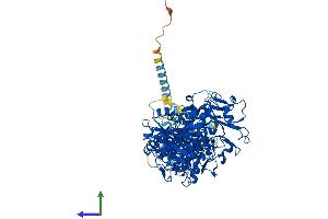 Protein Structure (PS) image for Ectonucleotide pyrophosphatase/phosphodiesterase 3 (ENPP3) (AA 1-874) protein (His tag) (ABIN7557912)